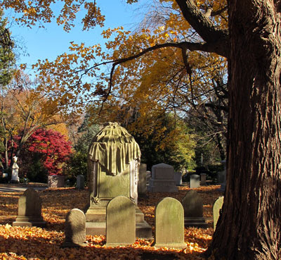 A Stroll Through Mount Auburn