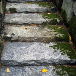 Mossy stone slabs that create an orderly staircase