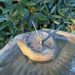 06590LilyPadBirdbath4443SF